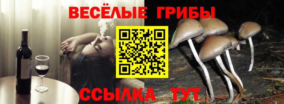 Псилоцибиновые грибы ЛСД Владимир